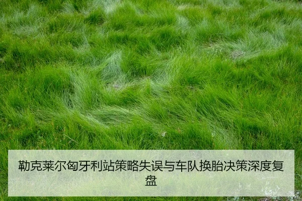lei-ke-lai-er-xiong-ya-li-zhan-ce-lve-shi-wu-yu-che-dui-huan-tai-jue-ce-shen-du-fu-pan-2-664.jpg
